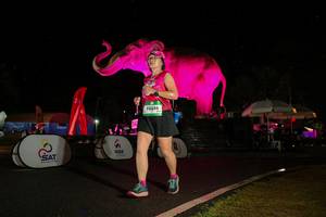 BIB: 
                            <button type="button" onclick="openModal(26543367)" class="btn btn-primary btn-sm float-right btn-popup" data-toggle="modal" data-target=".modal-high-quality">
                        <i class="fas fa-shopping-cart"></i> Add to Cart
                    </button>
                                            <button type="button" onclick="isThisMe(26543367, true)" class="btn btn-success btn-sm float-right btn-popup btn-isme hidden" data-toggle="tooltip" data-placement="bottom" title="นี่คือรูปของคุณใช่ไหม คลิกที่นี่เพื่อเอาเข้าอัลบั้ม">
                        <i class="fas fa-plus"></i> Add to album
                    </button>
                    <button type="button" onclick="isThisMe(26543367, false)" class="btn btn-warning btn-sm float-right btn-popup btn-isnotme hidden">
                        <i class="fas fa-ban"></i> Remove from album
                    </button>